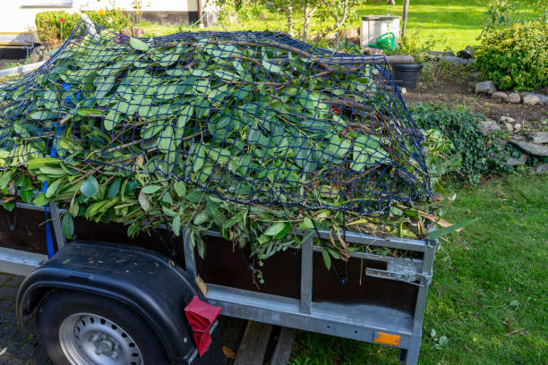 Trusted Lake Bluff, IL Junk Removal Services Experts
